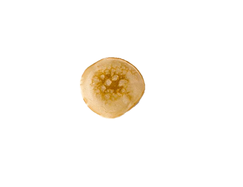 Amerikanische Pfannkuchen