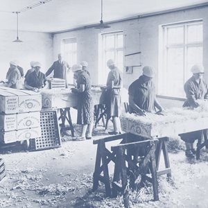 GENOSSENSCHAFTLICH ORGANISIERT SEIT 1895