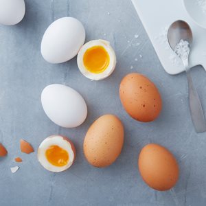 ERFAHREN SIE MEHR ÜBER DIE STEMPEL